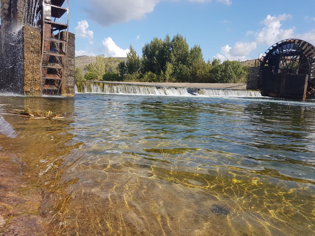 Apartman Srna Trebin Dış mekan fotoğraf